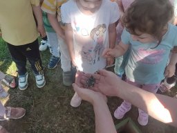 foto0010
