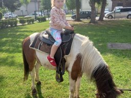 foto0001