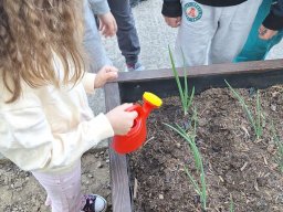 foto0039