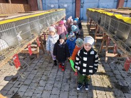 foto0002