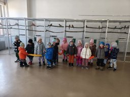 foto0007
