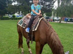 foto0010