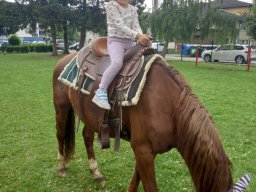 foto0019