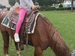 foto0030