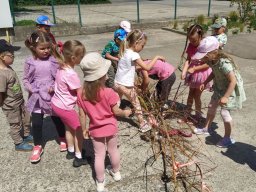 foto0015