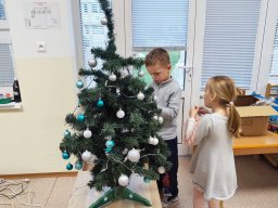 foto0247