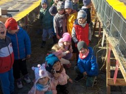 foto0036