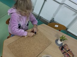 foto0003