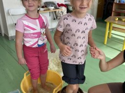 foto0026